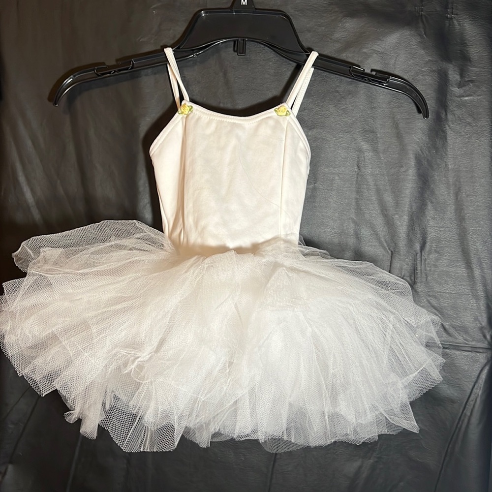 Swann lake ballet dance costume